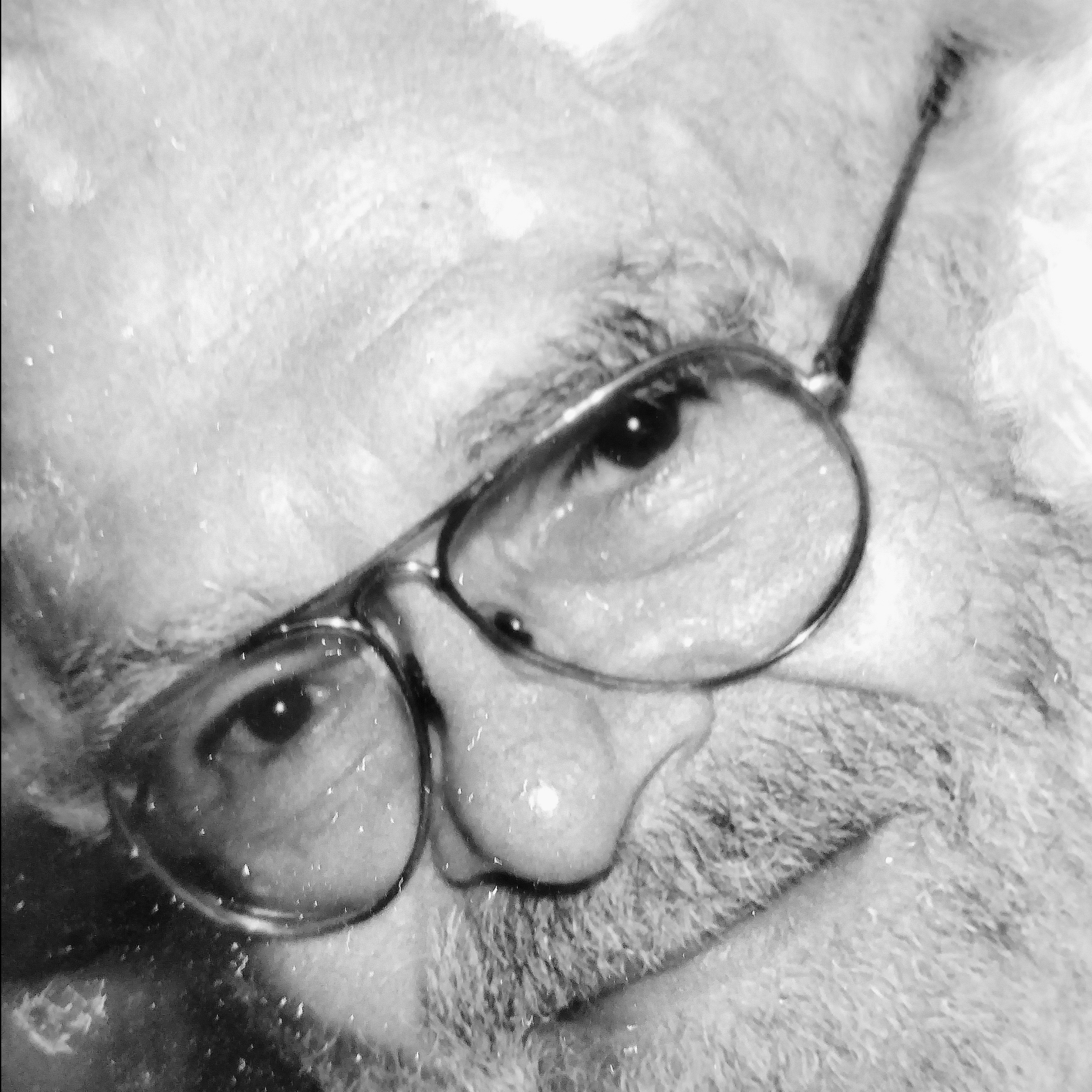 Photo de Monsieur Arnaud TESSIER